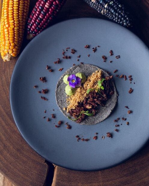 Cocina contra el cáncer