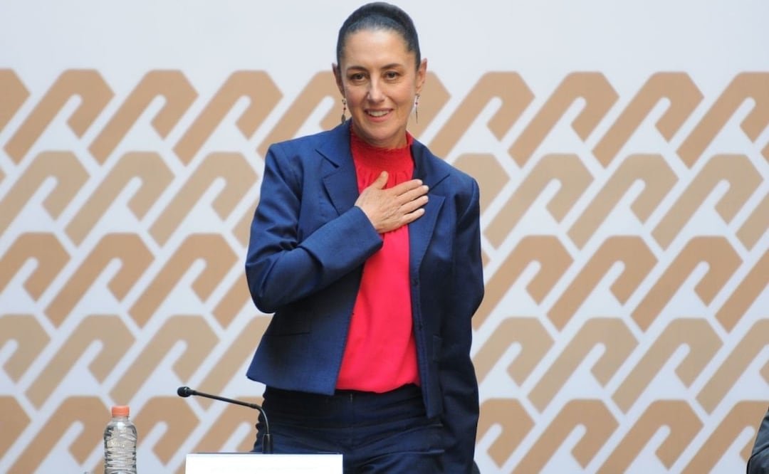 Las pruebas documentales que se estipulan en el acuerdo que tuvo un costo de 643 mil 125 pesos. Foto: Cuartoscuro