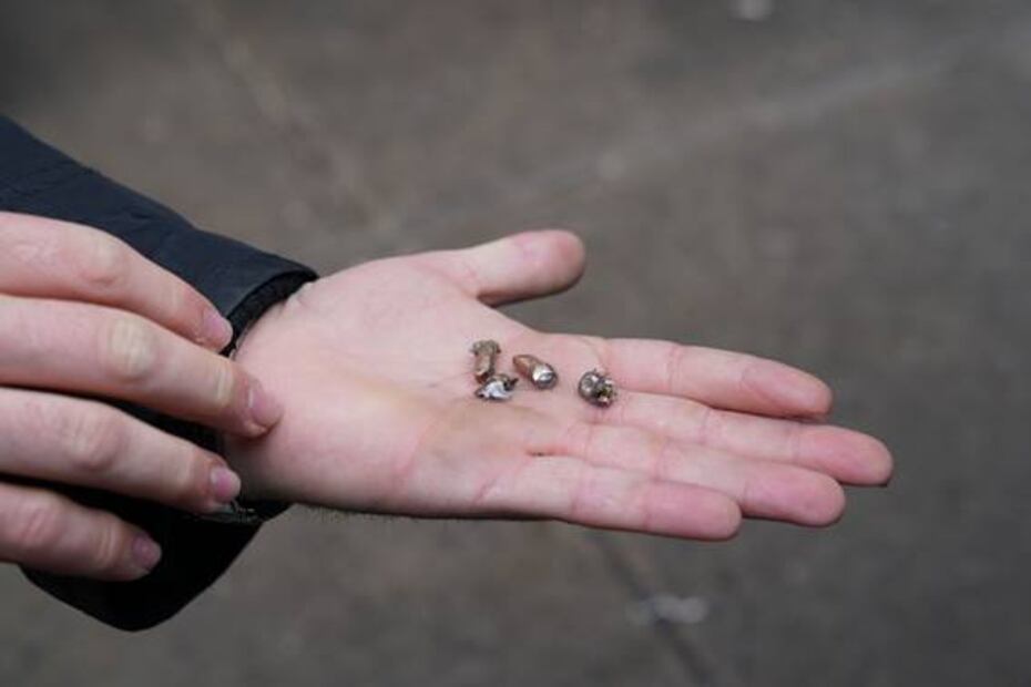 Identifican a los autores del tiroteo en supermercado de Nueva Jersey