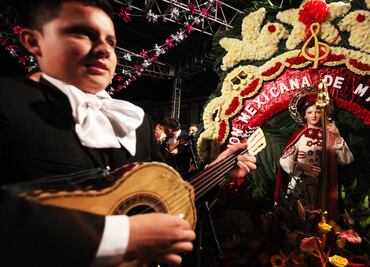 Garibaldi: A precious pearl for drug cartels