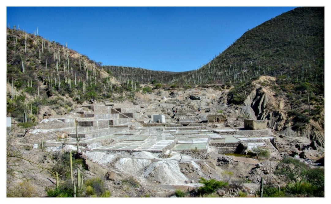 PEPE TREVIÑO/ Cuadros de extracción de sal en Zapotitlán Salinas.