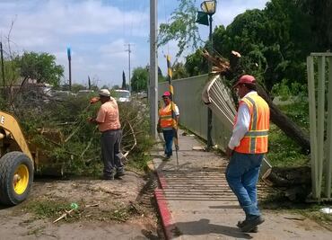 Desmienten alerta de cibernauta en Coahuila