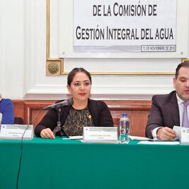 Diputada de Morena le pone el cascabel al gato