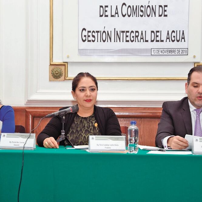 Guadalupe Aguilar Solache. FOTO: ARCHIVO EL UNIVERSAL