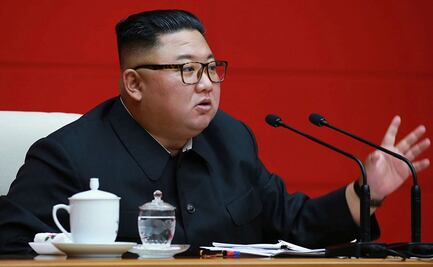 Van por confiscar perros en Corea del Norte por ser símbolo de "decadencia capitalista"