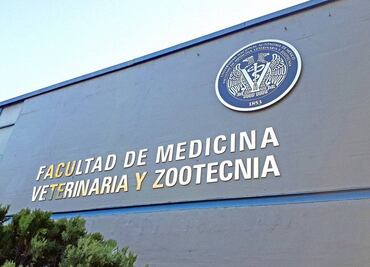 Chinches...¿ahora en Facultad de Veterinaria? UNAM suspende clases para fumigar