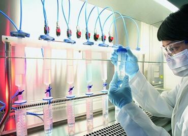 "Los investigadores viven con incertidumbre por recortes a la ciencia"