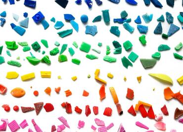 Estudian método para degradar plásticos con bacterias