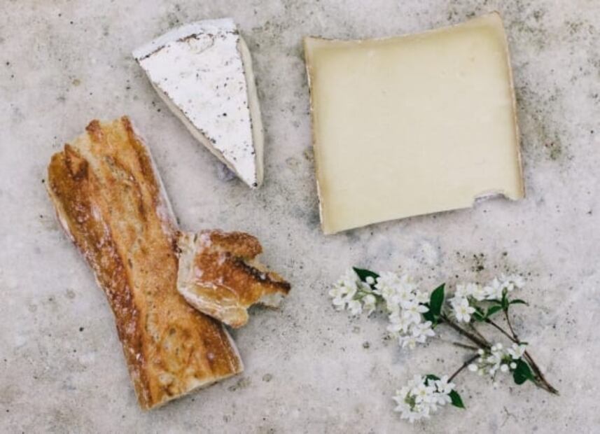 ¿Sabías que hay hongos y levaduras en el queso que comes?