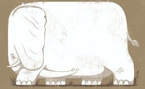 Ilustración: Daniel Razo
