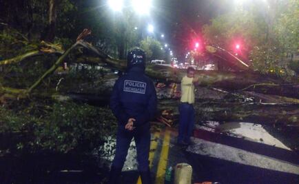 Tromba en Morelia deja afectaciones en al menos 10 colonias