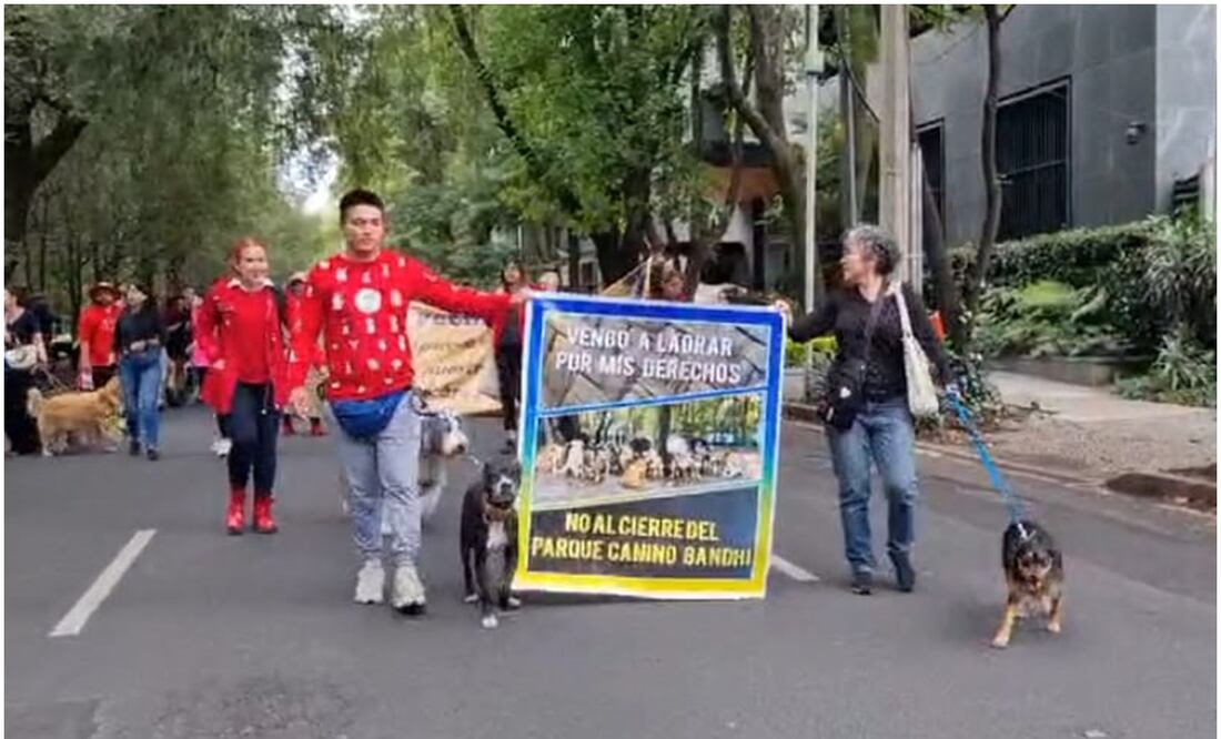 Al rededor de 50 personas detuvieron el paso vehicular sosteniendo pancartas y lonas con consignas como: “También nuestros lomitos tienen derecho a un área segura de juego”. Foto: Captura de pantalla