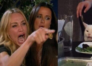 ¿De dónde salió el meme de la mujer y el gato?