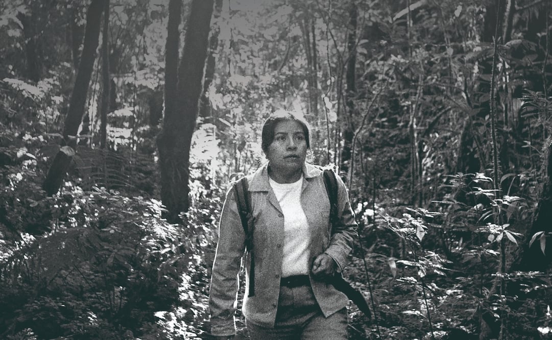 En 2026, el filme se proyectará gratis en reservas naturales. FOTOS: Pikila Cine