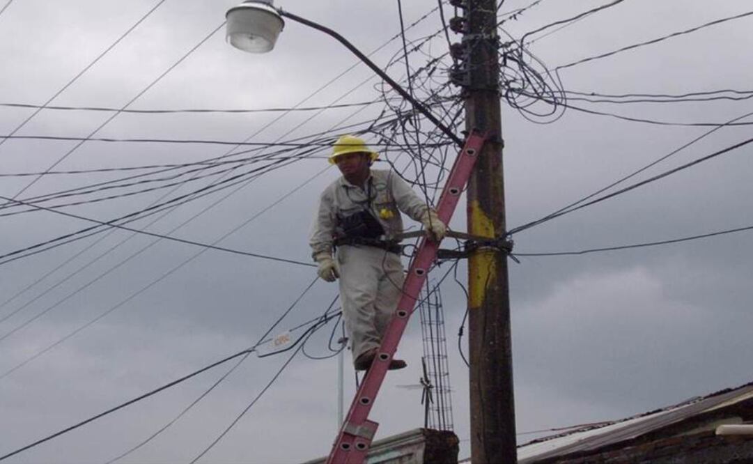 Entre los productos que registraron las mayores bajas en sus precios está la electricidad con 23.30%