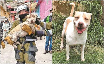 Deysi, rescatada en el Chiquihuite, busca nuevo hogar