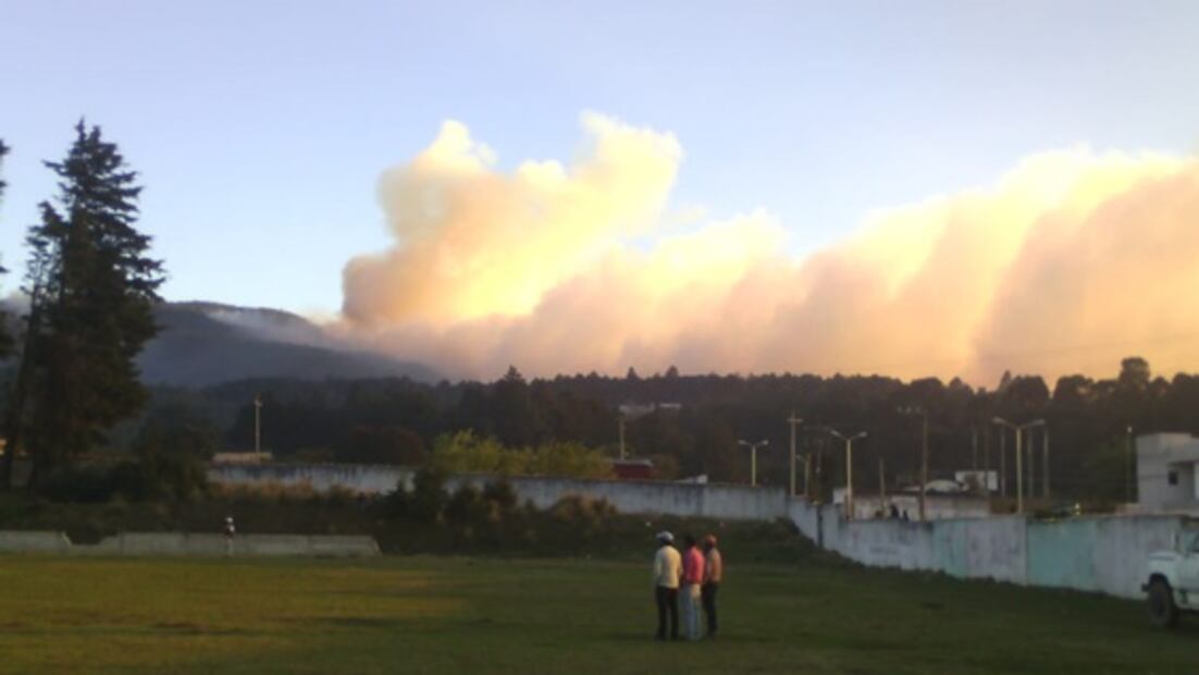 Suman 500 hectáreas consumidas en incendio forestal de Veracruz