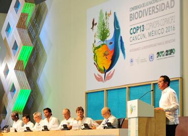 Apostarán por turismo ecológico y economía verde en Q. Roo