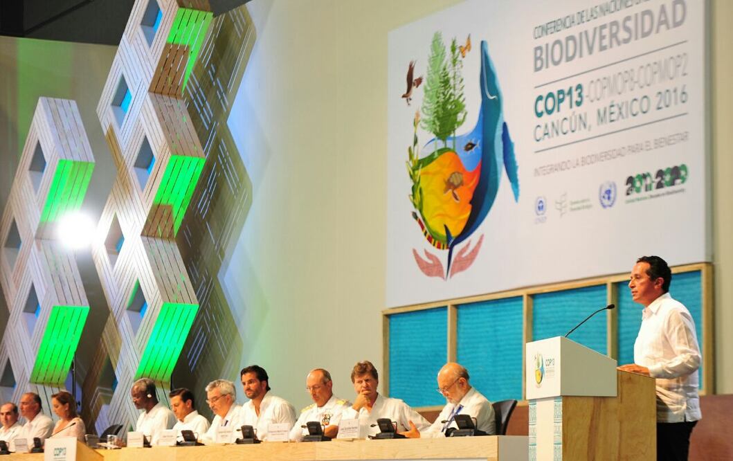 Foto: Cortesia de gobierno de Q.Roo