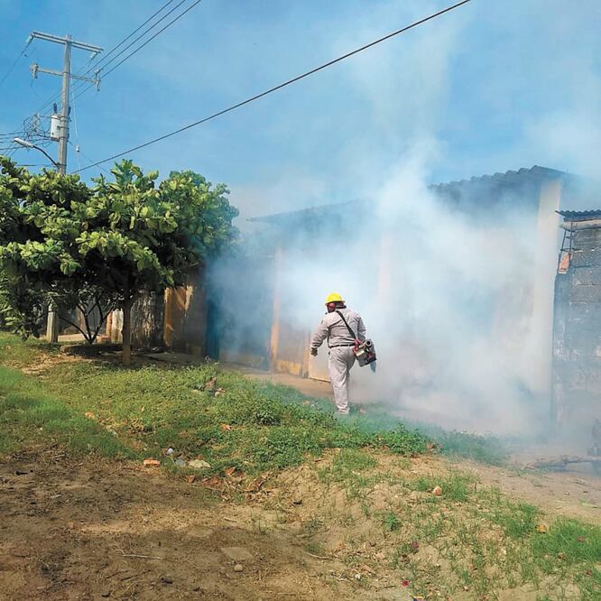 Rezago. Por huelga de trabajadores, la fumigación en Oaxaca se detuvo del 11 al 21 de junio. ROSELIA CHACA. EL UNIVERSAL