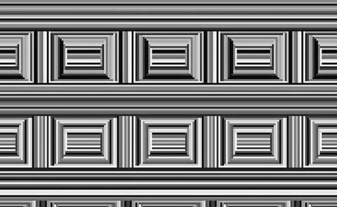 ¿Puedes ver los círculos en la imagen?