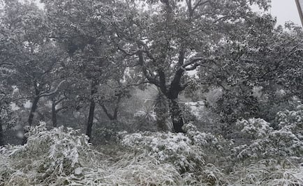 Prevén caída de nieve en estados del centro del país
