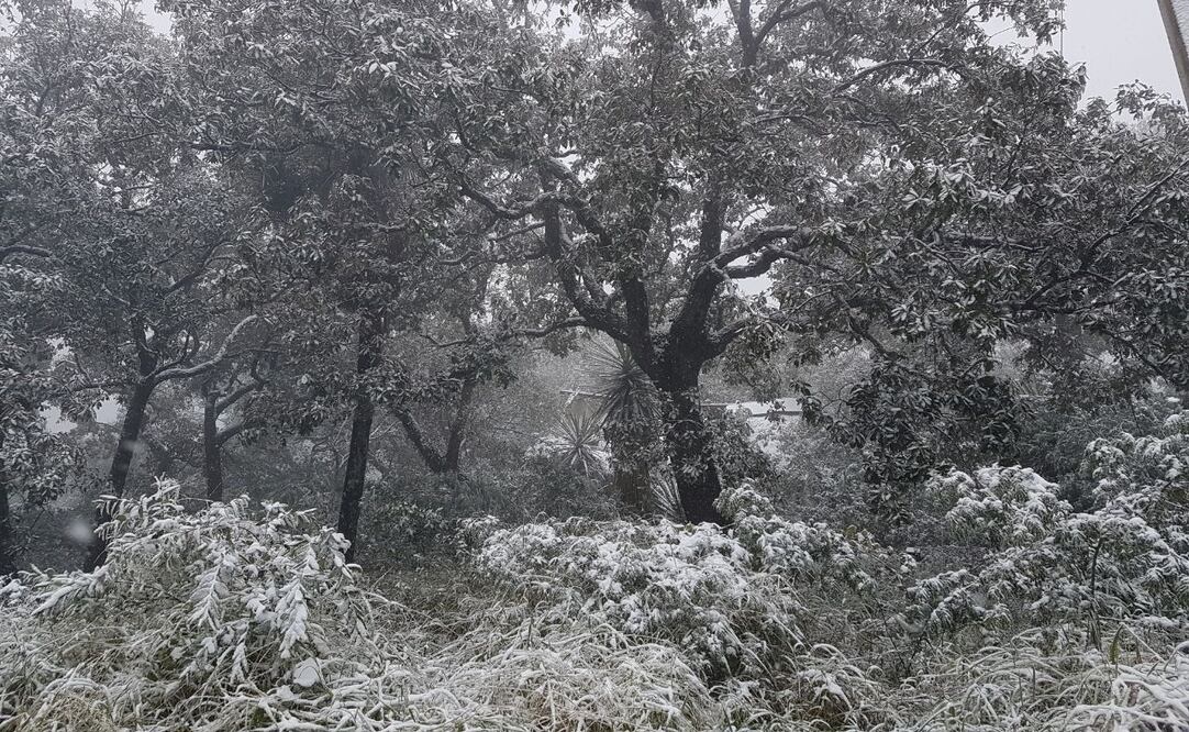 (Foto: Roberto Aguilar/EL UNIVERSAL)