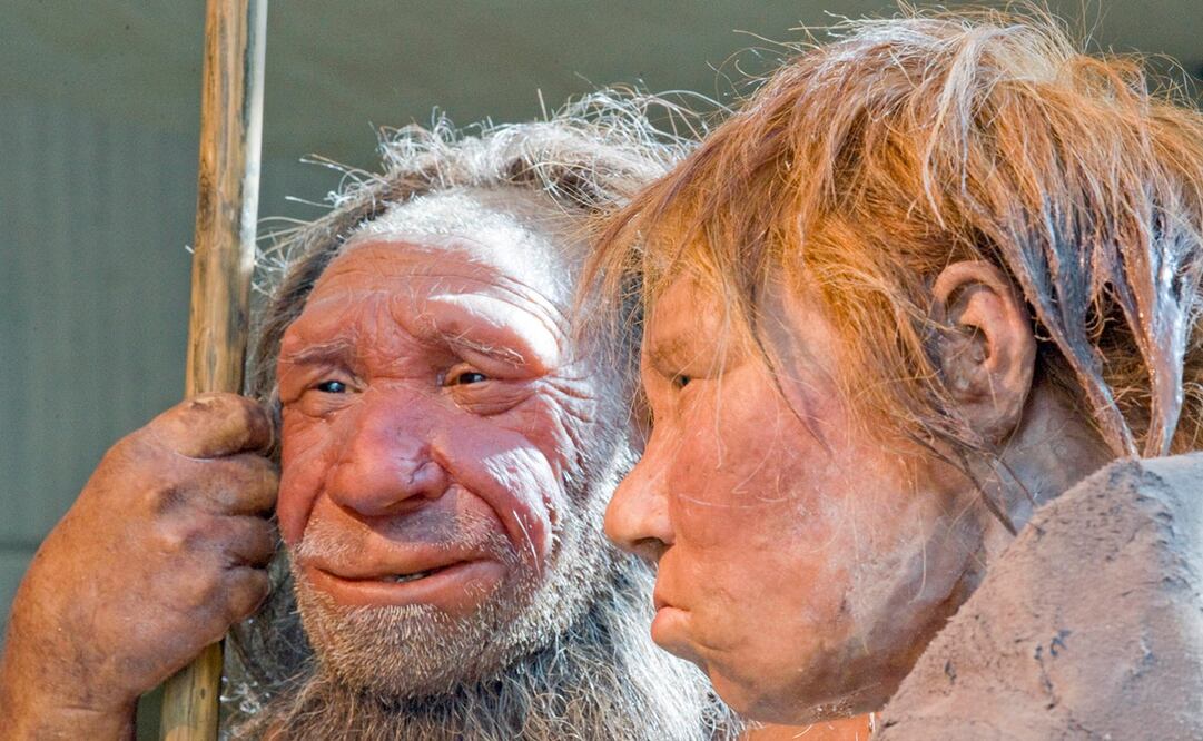 Neandertales. Foto: AP