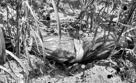 Hallan entre la milpa cuerpo embolsado en Tlaxcala