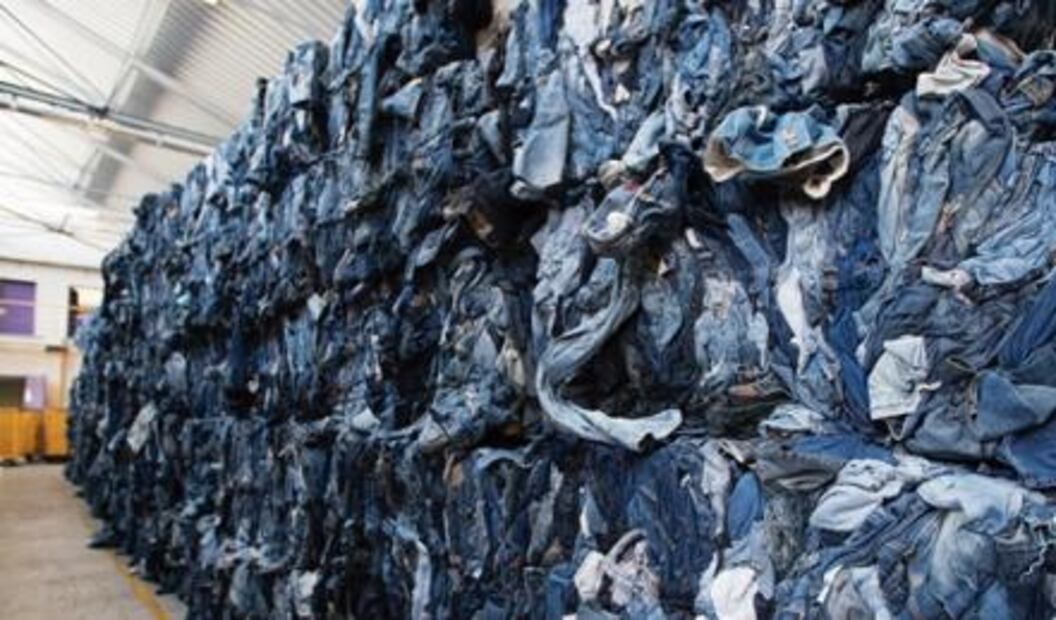 Inditex opta por hacer ropa ¡de hongos y algas!