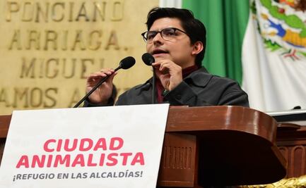 Congreso CDMX exhorta a alcaldías a crear refugios temporales para animales; buscan mayor protección y bienestar
