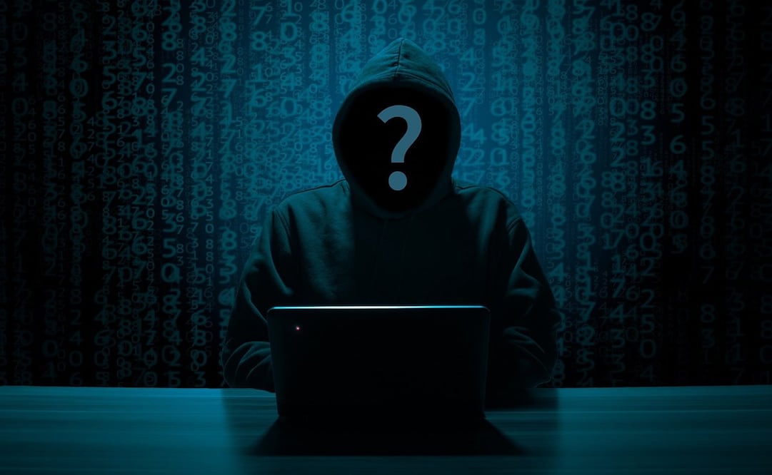 El grupo Guacamaya Leaks ha filtrado datos de los gobiernos de varios países de Latinoamérica. Foto: Pixabay