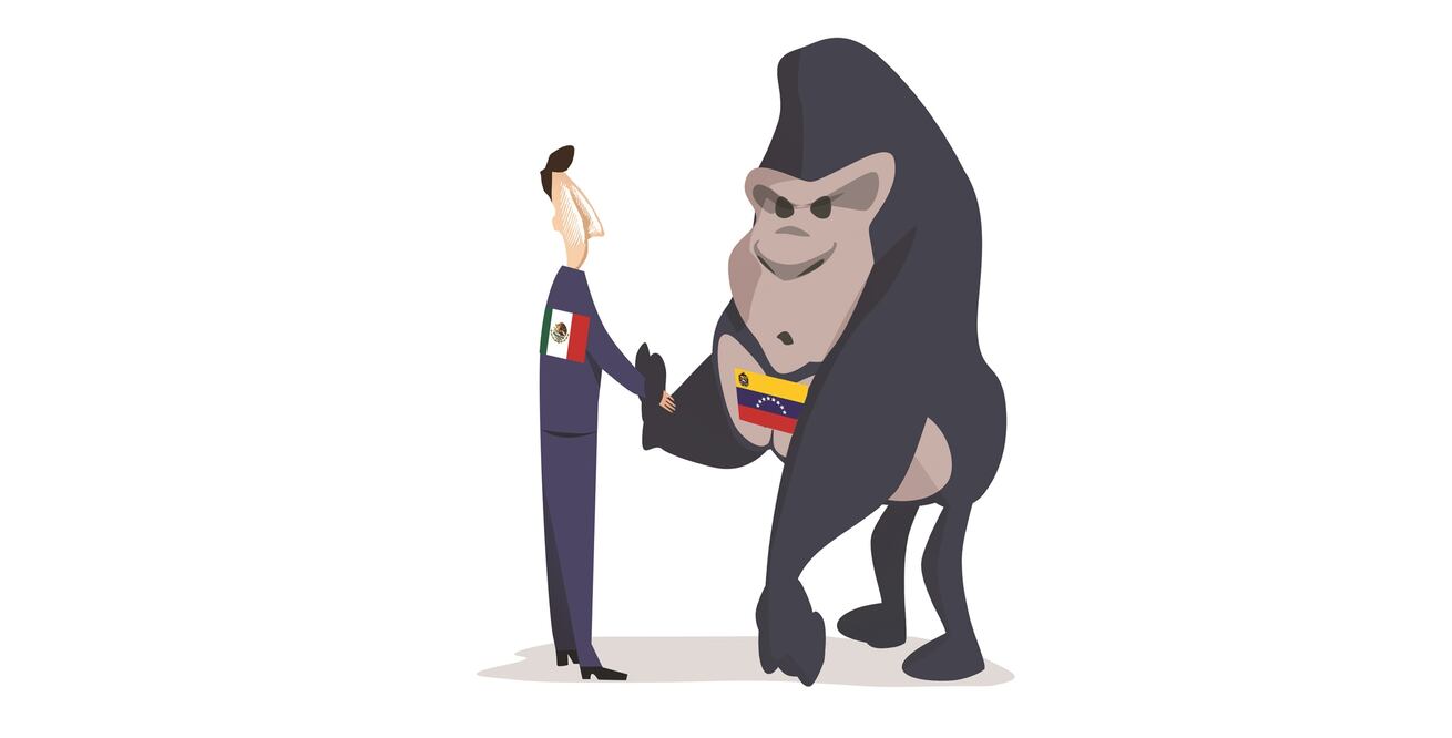 Presidente Peña Nieto, ¿no se le cae la cara de vergüenza?