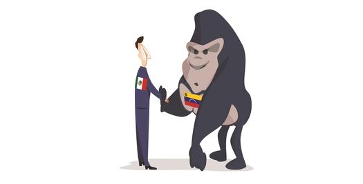 Presidente Peña Nieto, ¿no se le cae la cara de vergüenza?