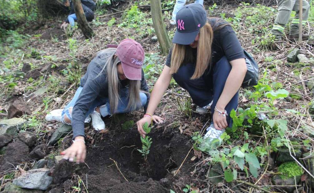 Arranca Jornada de Reforestación 2025 en la Magdalena Contreras (03/08/2025). Foto: Especial
