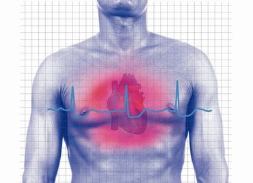 Detectan proteína capaz de regenerar células cardíacas tras infarto