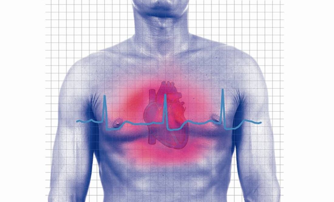 45% de las células musculares del corazón se renuevan a lo largo de la vida de un ser humano. Foto: Archivo