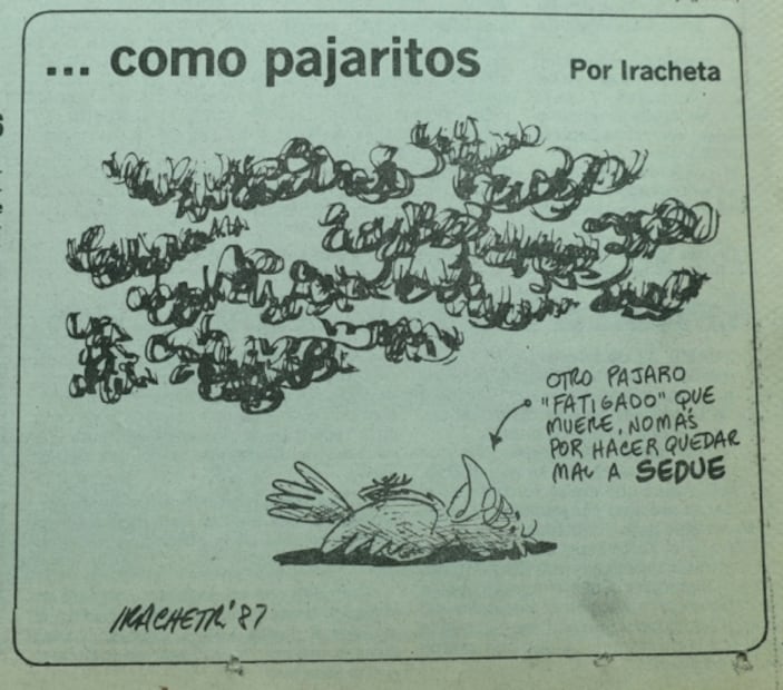 ¿Recuerdas cuando en 1987 murieron pájaros en el DF por contaminación?