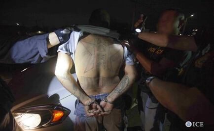 U.S. immigration agents bust 1,100 suspects in gang sweep