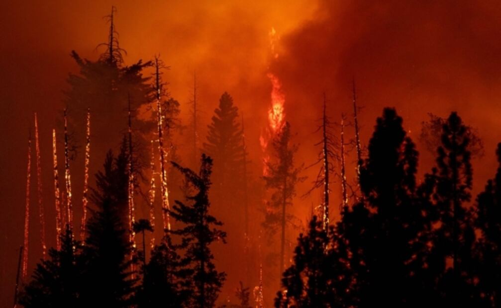Desalojan a miles por incendio cerca del parque Yosemite, en California