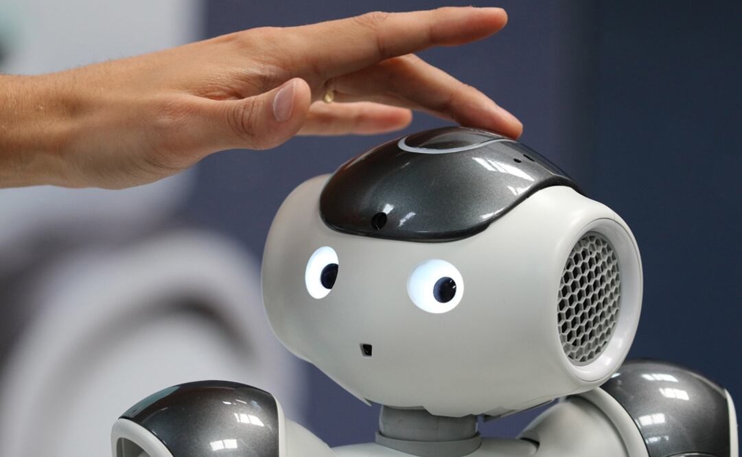 Foto: EFE/ Focke Strangmann, archivo