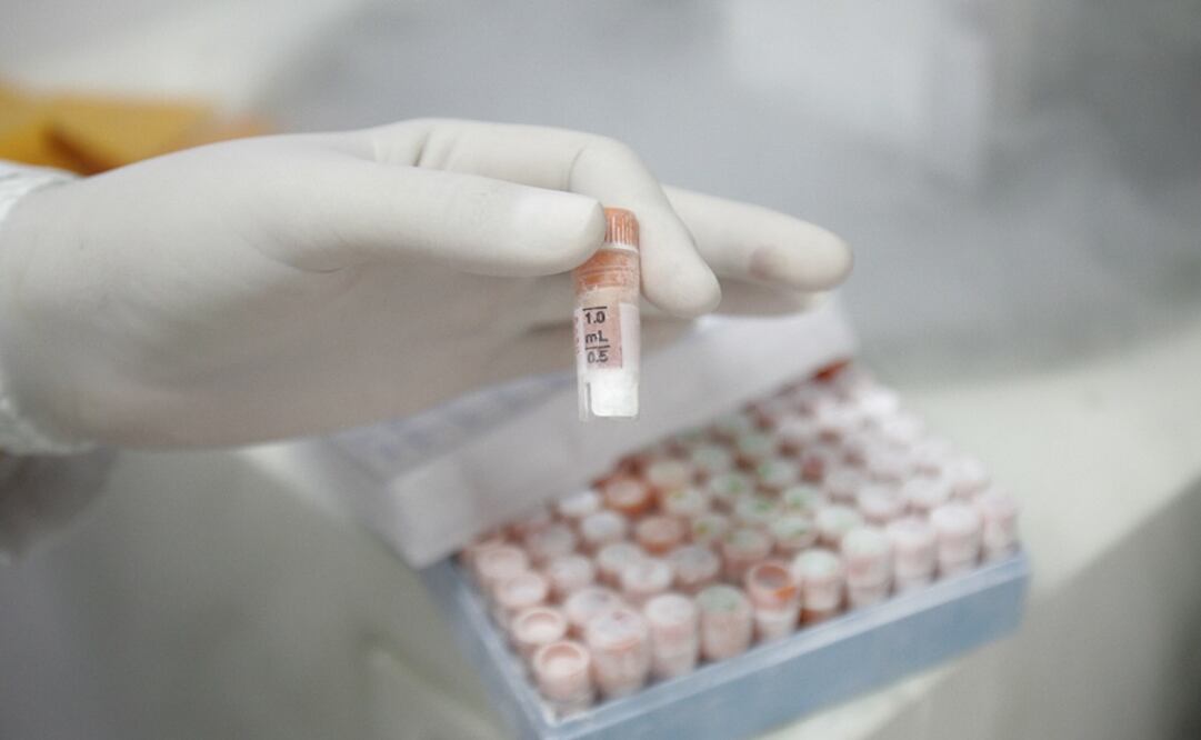 Un investigador sostiene un tubo de ensayo repleto de células madre en un laboratorio - Foto: Andre Penner/AP