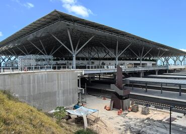 Advierten que daños ambientales del Tren Maya se extiendan hasta 2050; peritaje señala que medidas de mitigación son “ineficaces"