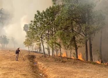Mueren 5 pobladores de Quiaviní, Oaxaca, al combatir incendio que consume su bosque