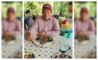 Dirigente de Morena en Macuspana, Tabasco, "presume" haber consumido tortuga, especie protegida; el partido no se ha pronunciado