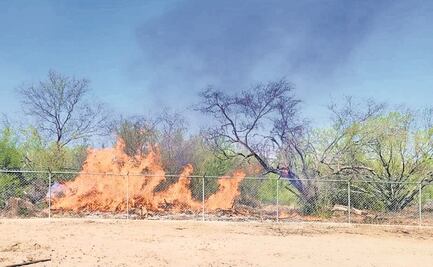Arrasan incendios forestales 170 ha de vegetación