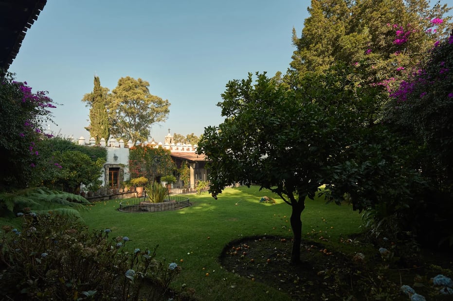 Además del acervo artístico del Museo Dolores Olmedo, aquí podrás disfrutar un paisaje arquitectónico y natural. Foto: Museo Dolores Olmedo