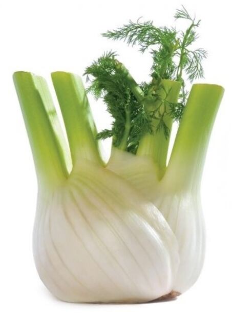 Hinojo. Fuente: Ministerio de Salud de Mendoza