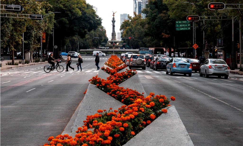 Como parte de las actividades por el Día de Muertos, el gobierno de la Ciudad de México decoró Paseo de la Reforma con flores de cempasúchil. Foto: Yaretzy M. Osnaya / EL UNIVERSAL
