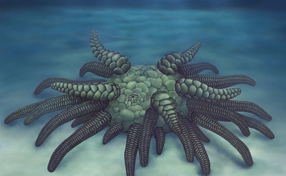 Imagen ilustrativa de la recreación 3D / EuropaPress